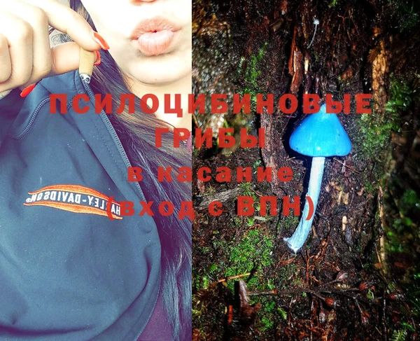 индика Алексеевка