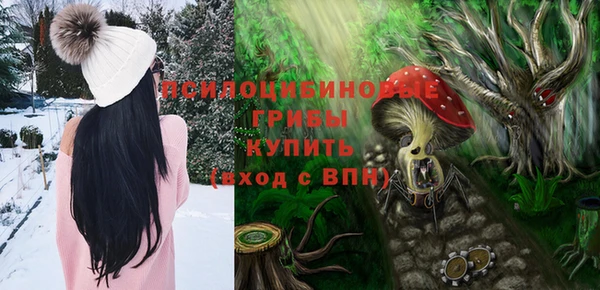 индика Алексеевка