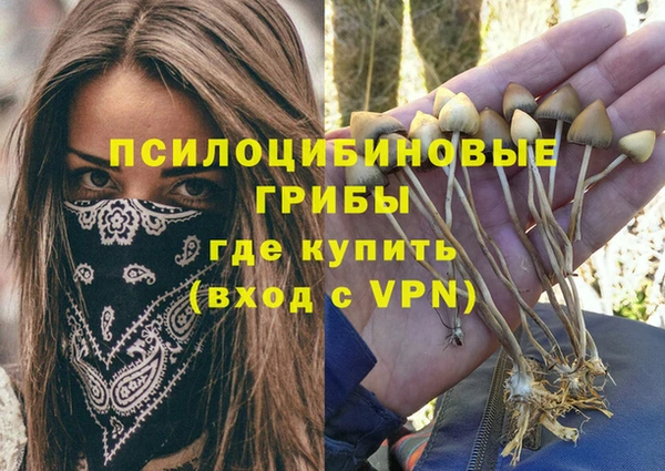 сатива Абдулино