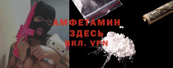 индика Алексеевка