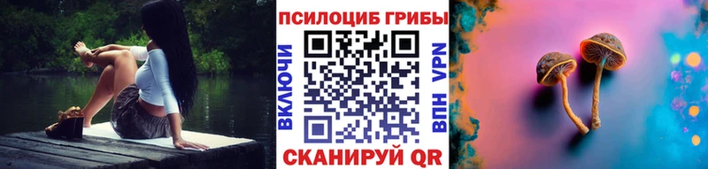 Псилоцибиновые грибы ЛСД Алагир
